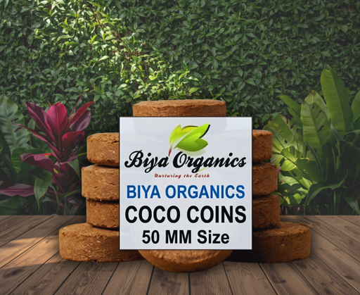 [BOOFCPCO] Coco Coins 50 MM Size