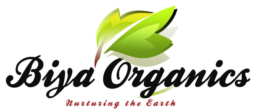 My Website